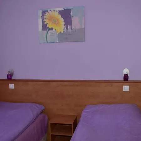 Семеен Хотел Лъки Byala Slatina